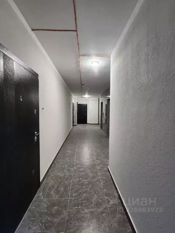 Студия Амурская область, Благовещенский район, с. Чигири ул. ... - Фото 2