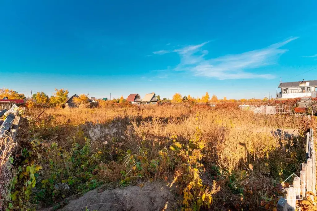 Участок в Омская область, Омск Дары Сибири СНТ, аллея 4-я, 39 (5.6 ... - Фото 1