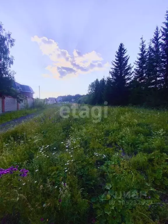 участок в свердловская область, горноуральский городской округ, пос. . - Фото 1