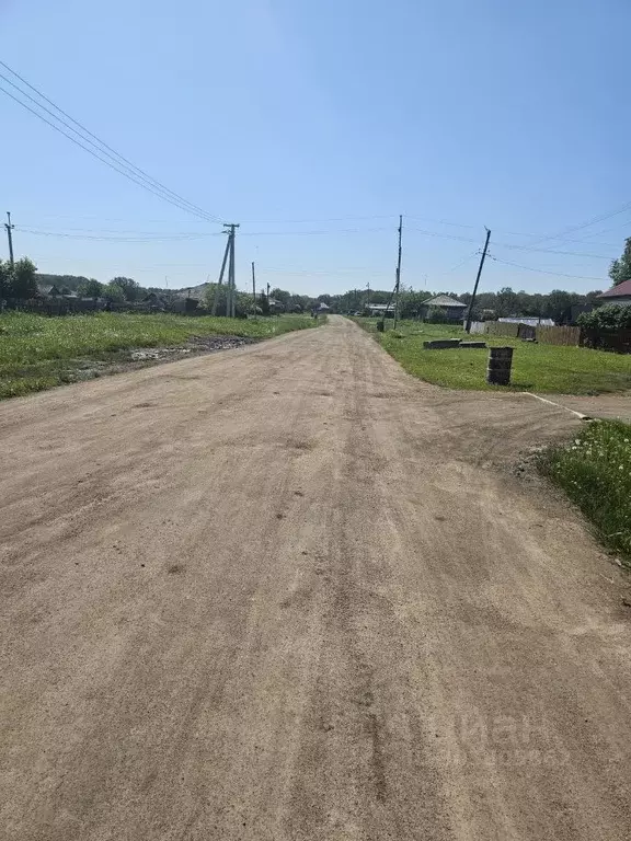 Участок в Новосибирская область, Тогучинский район, с. Лебедево ул. ... - Фото 0