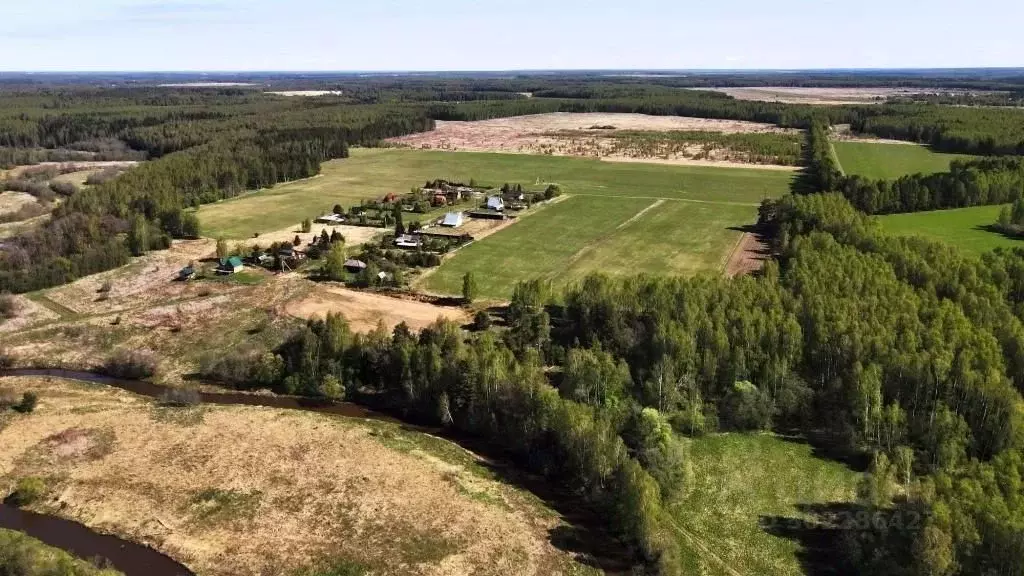 Участок в Владимирская область, Киржачский район, Горкинское ... - Фото 1