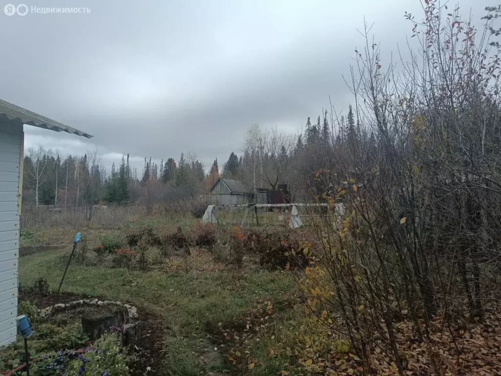 Дом в Завьяловский район, деревня Жеребёнки, Заречная улица, 17 (45 м) - Фото 2