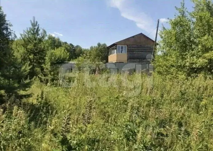 Участок в Курганская область, Кетовский муниципальный округ, с. ... - Фото 1