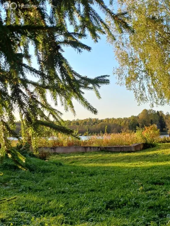 Участок в Тверская область, Вышневолоцкий муниципальный округ, деревня ... - Фото 2