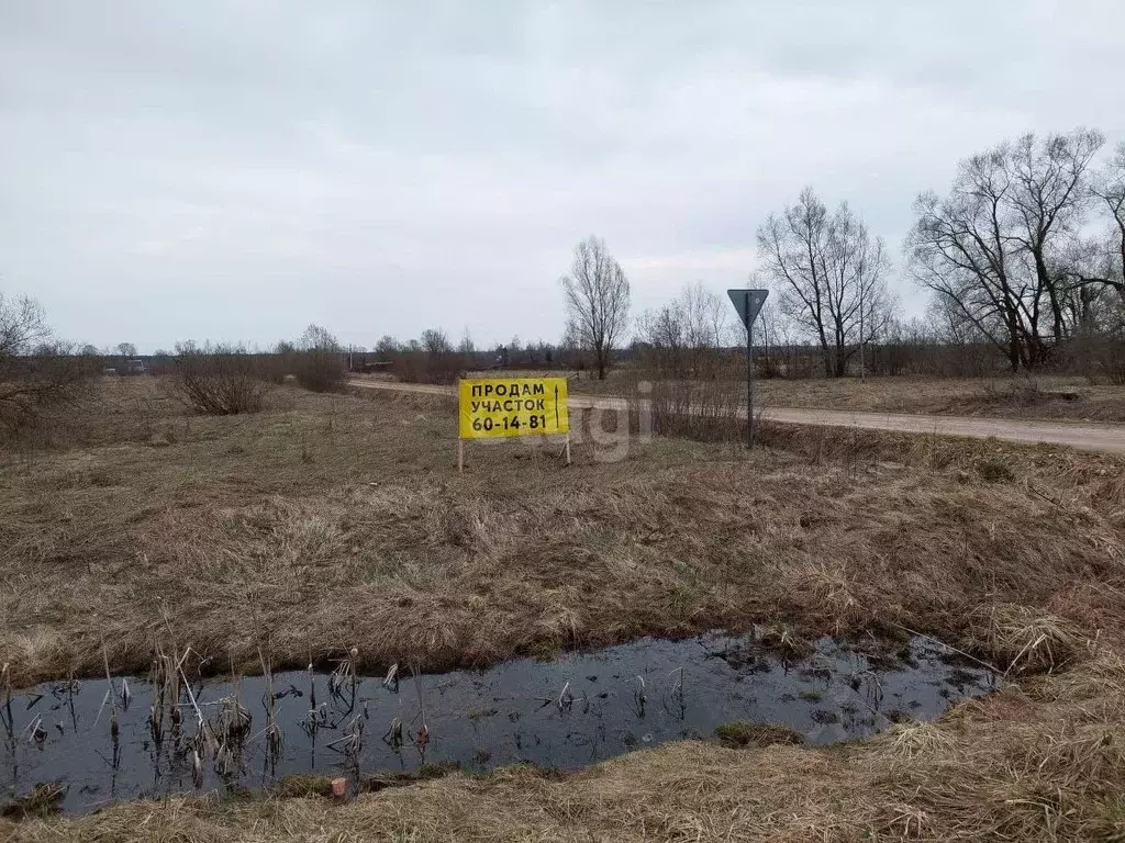 Участок в Новгородская область, Старорусский район, Великосельское ... - Фото 1