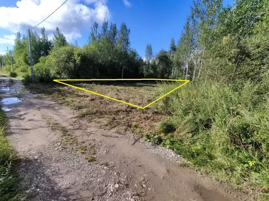 Участок в Вологодская область, Вологда аллея 12-я (6.0 сот.) - Фото 1