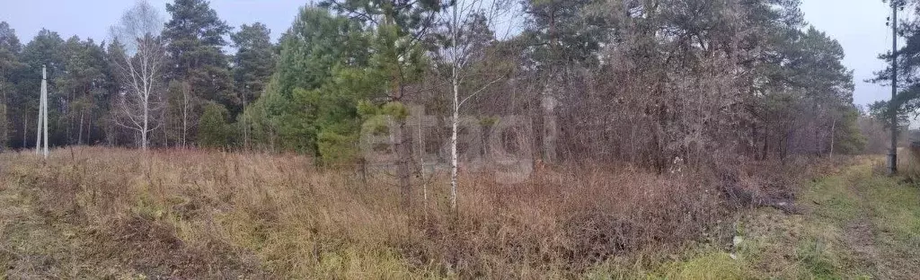 Участок в Тюменская область, Нижнетавдинский муниципальный округ, с. ... - Фото 2