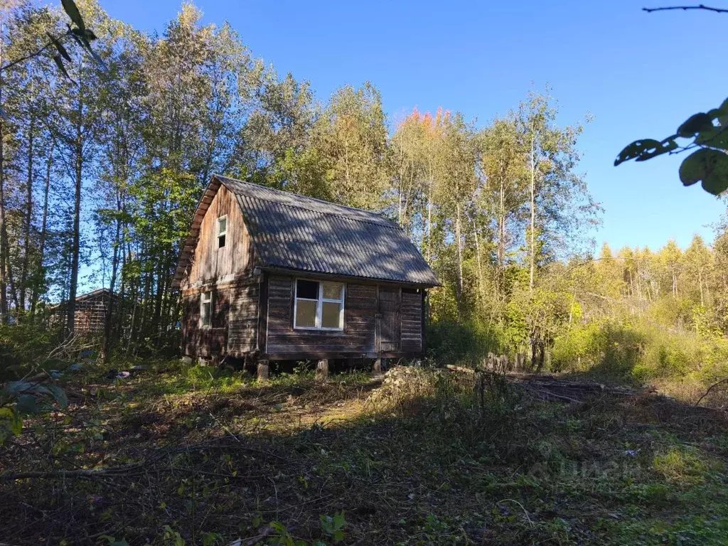 Дом в Московская область, Клин городской округ, Лесное СНТ  (53 м) - Фото 0