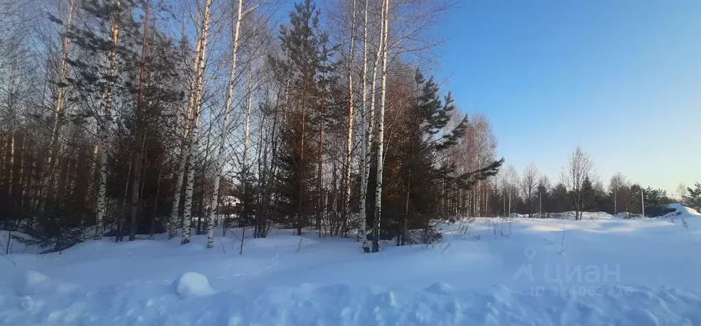 Участок в Удмуртия, Завьяловский район, д. Крестовоздвиженское  (8.0 ... - Фото 1