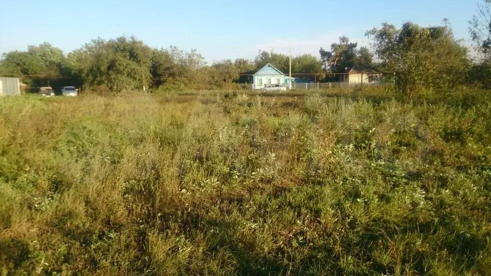 Купить Участок В Петровском Челябинской Области