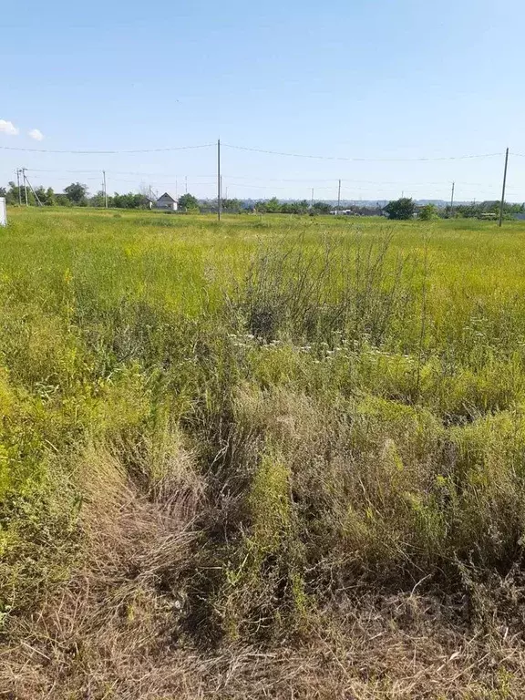 Участок в Волгоградская область, Городище рп, Дубок СНТ  (12.0 сот.) - Фото 1