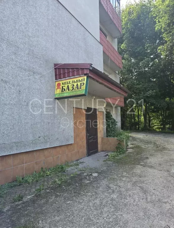 Помещение свободного назначения в Калининградская область, Светлогорск ... - Фото 1