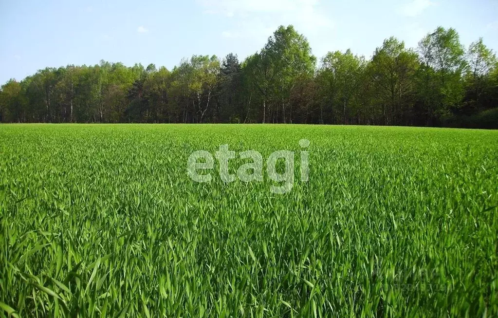 Участок в Вологодская область, пос. Грибково  (78.0 сот.) - Фото 1