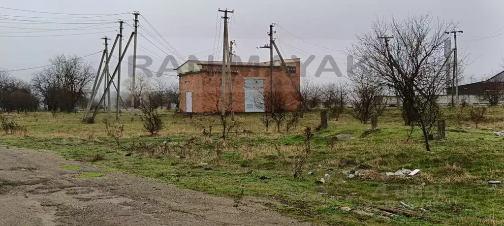Производственное помещение в Адыгея, Майкопский район, Кужорское ... - Фото 1