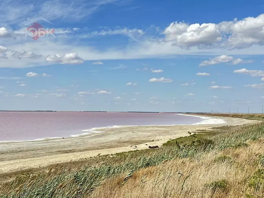 Участок в Крым, Сакский район, Лесновское с/пос, с. Владимировка ул. ... - Фото 1