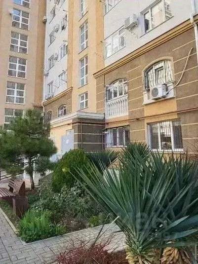 3-к кв. Севастополь просп. Античный, 12 (70.0 м) - Фото 2