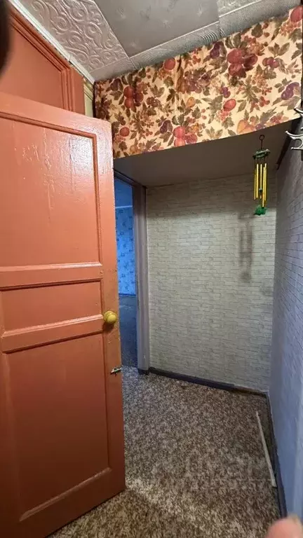 1-к кв. Алтайский край, Барнаул ул. Георгия Исакова, 115 (31.0 м) - Фото 1