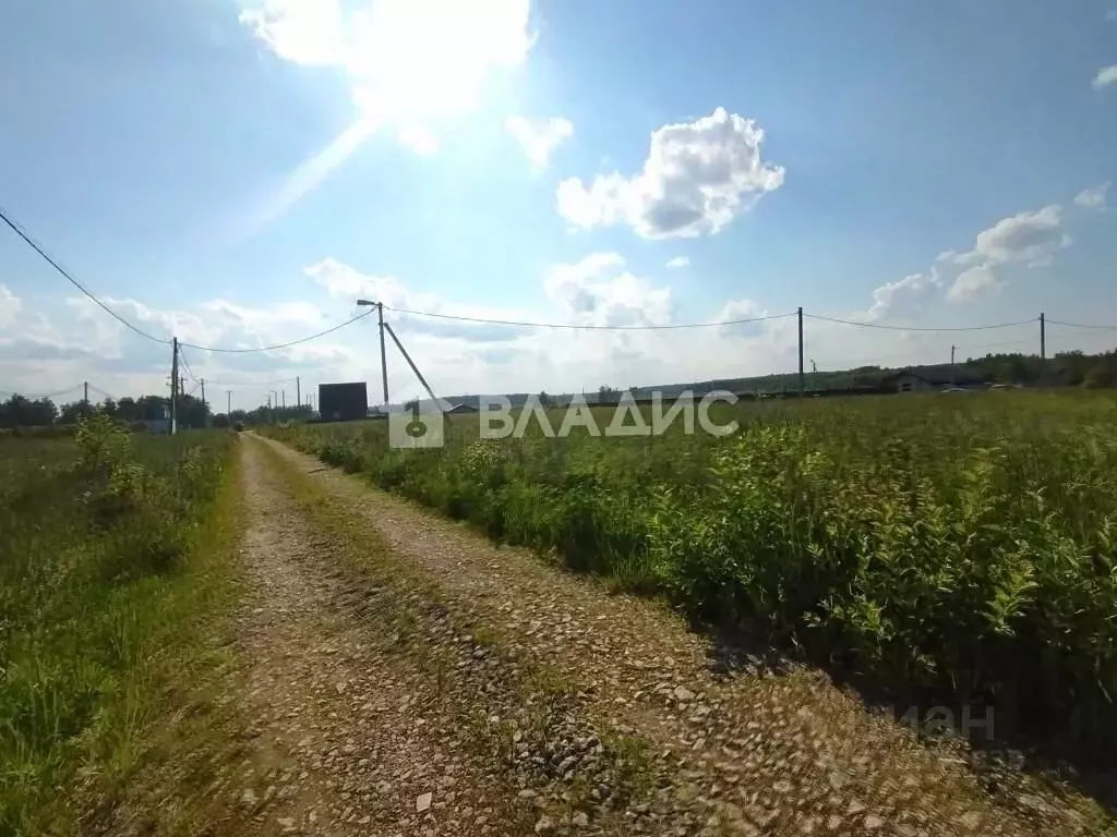 Участок в Владимирская область, Петушинское муниципальное образование, ... - Фото 2