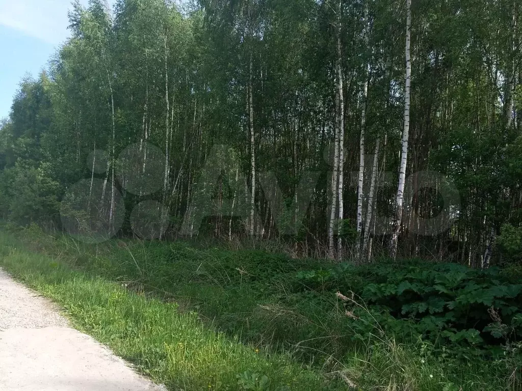 Участок 10,4 сот. (ИЖС) - Фото 0
