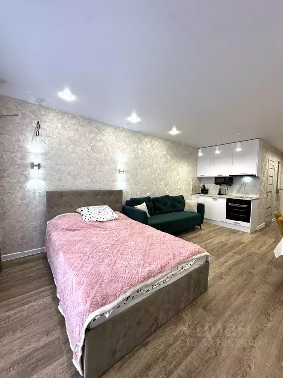 1-к кв. Татарстан, Казань ул. Архитектора Гайнутдинова, 26к6 (28.8 м) - Фото 0