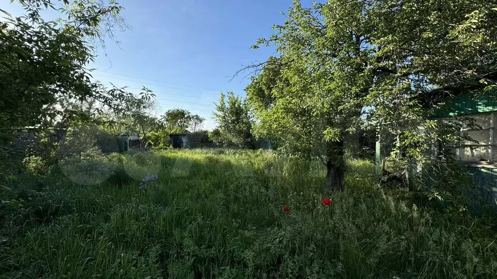 Участок 6,1 сот. (СНТ, ДНП) - Фото 0