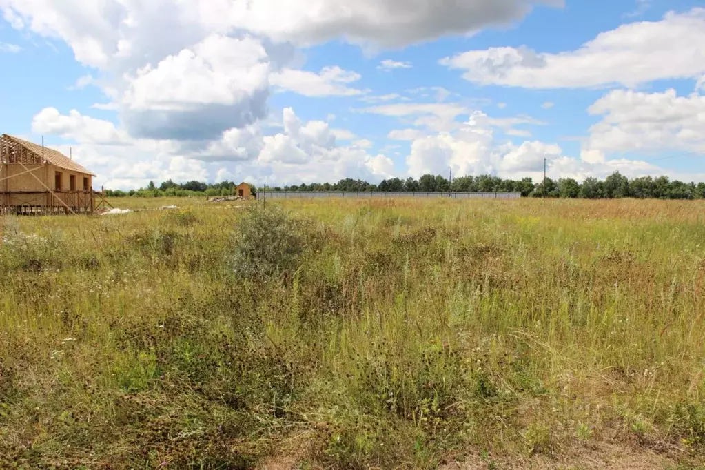 Участок в Тульская область, Заокский район, Демидовское с/пос, с. ... - Фото 2