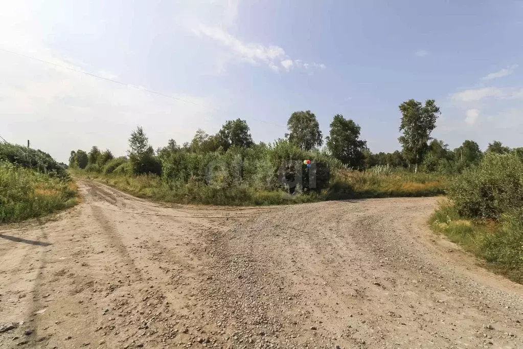 Участок в Тюменская область, Нижнетавдинский район, Сочинские СНТ 9-я ... - Фото 0