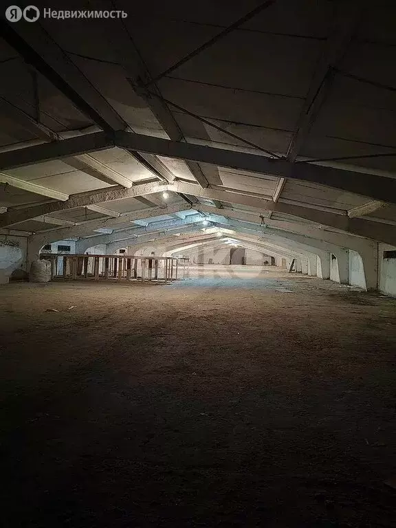 Склад (570 м) - Фото 2