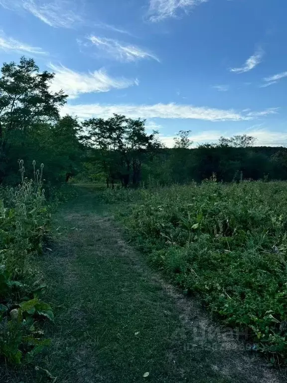 Участок в Краснодарский край, Мостовский район, Бесленеевская ст-ца ... - Фото 2