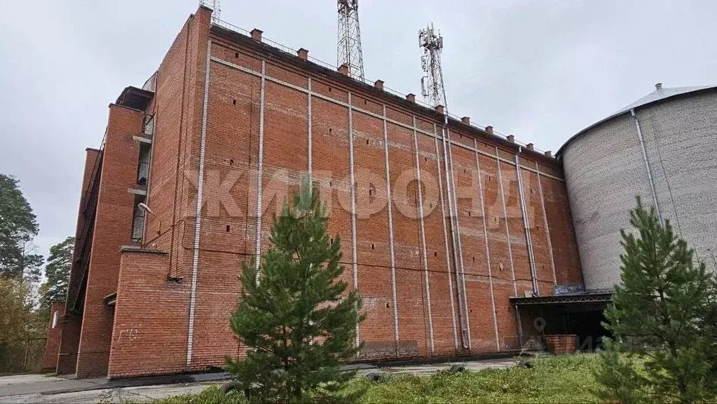 Гараж в Томская область, Северск ул. Славского, 20Б (20 м) - Фото 2