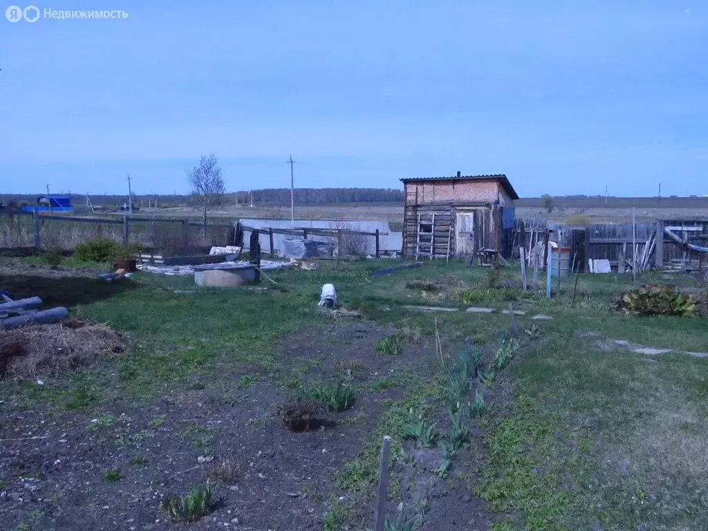 Участок в Курганская область, Кетовский муниципальный округ, деревня ... - Фото 2