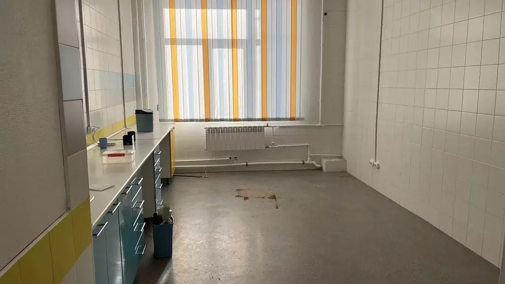 Офис в Новосибирская область, Новосибирск Академгородок мкр, ул. ... - Фото 2