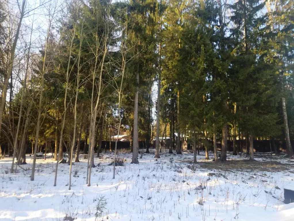 Участок в Московская область, Дмитровский муниципальный округ, Аква ... - Фото 1