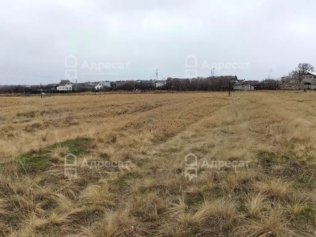 Участок в Волгоградская область, Городищенский район, Царицынское ... - Фото 1