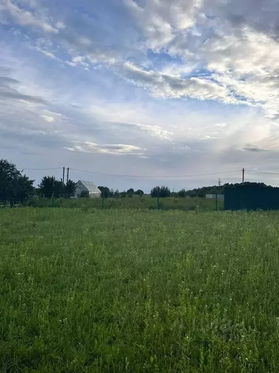 Участок в Московская область, Ступино городской округ, с. Старая Ситня ... - Фото 1