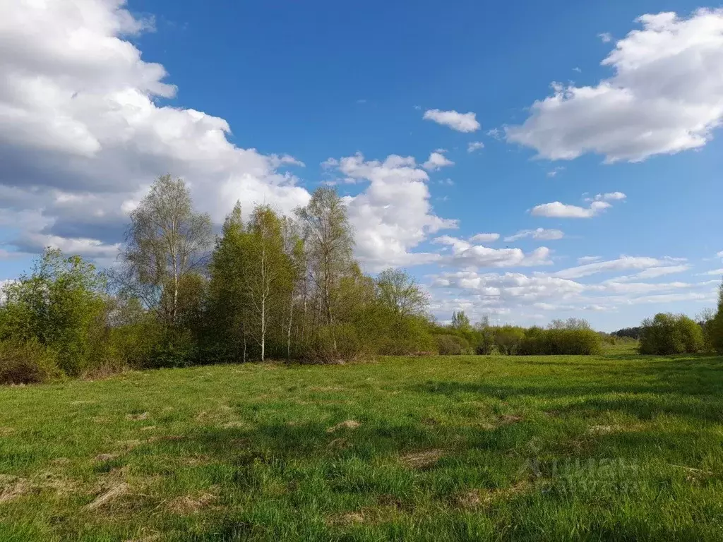 Участок в Ленинградская область, Выборгский район, Красносельское ... - Фото 1