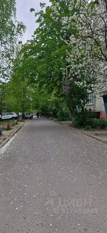 3-к кв. Брянская область, Жуковка пер. Мальцева, 3 (62.7 м) - Фото 1