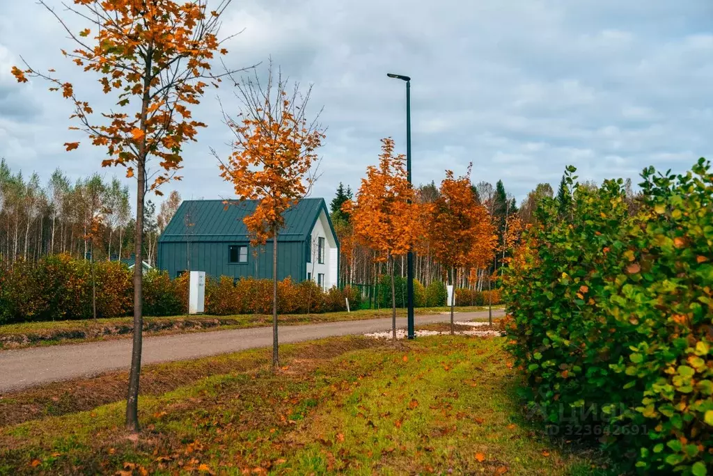 Участок в Московская область, Серпухов городской округ, д. ... - Фото 2