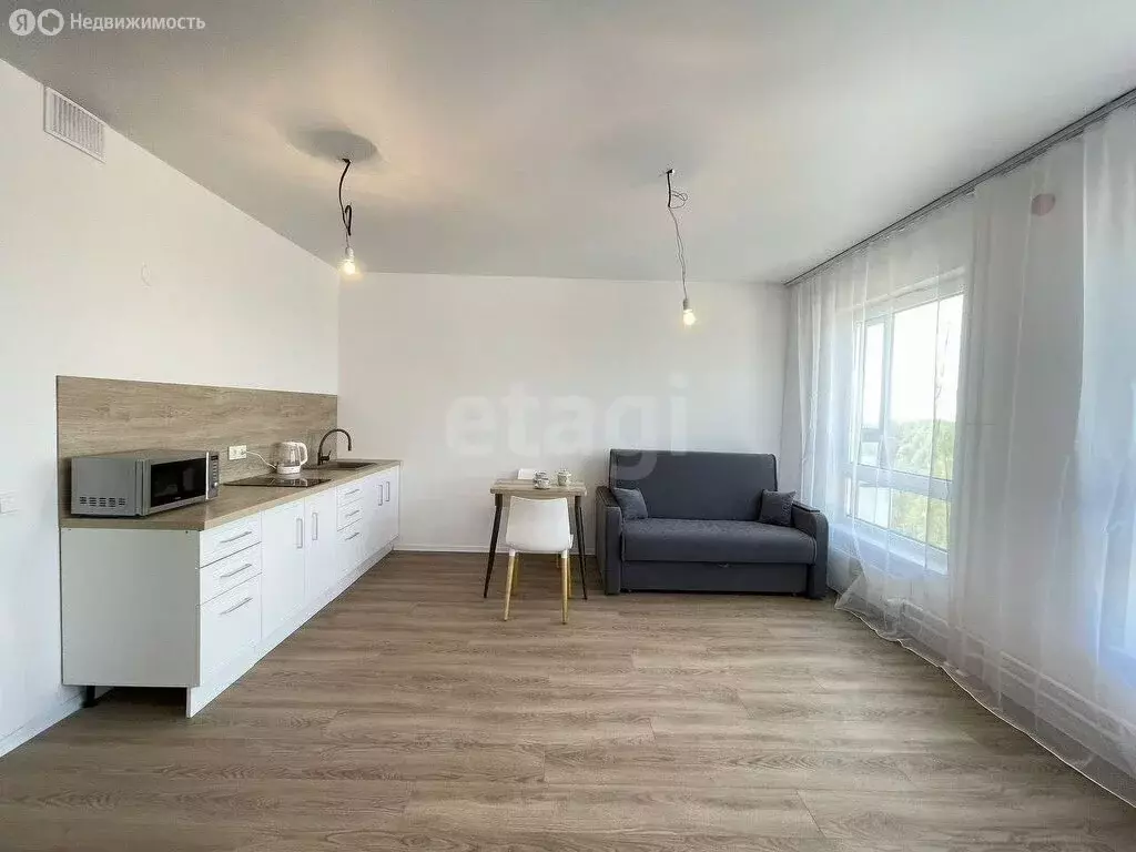 Квартира-студия: Янино-1, Голландская улица, 18к4 (27 м) - Фото 1