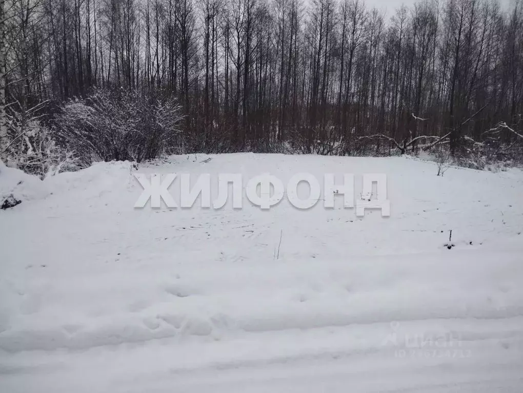 Участок в Брянская область, Брянск  (6.0 сот.) - Фото 1