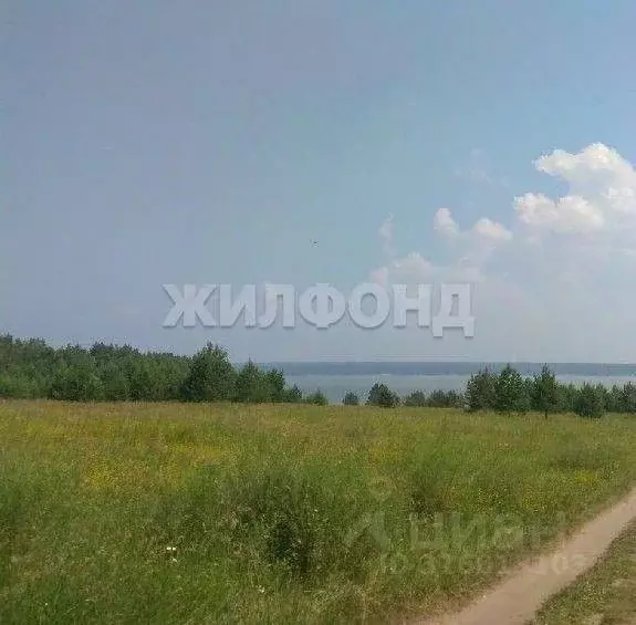 Дом в Новосибирская область, Ордынский район, с. Спирино Боровая ул. ... - Фото 1