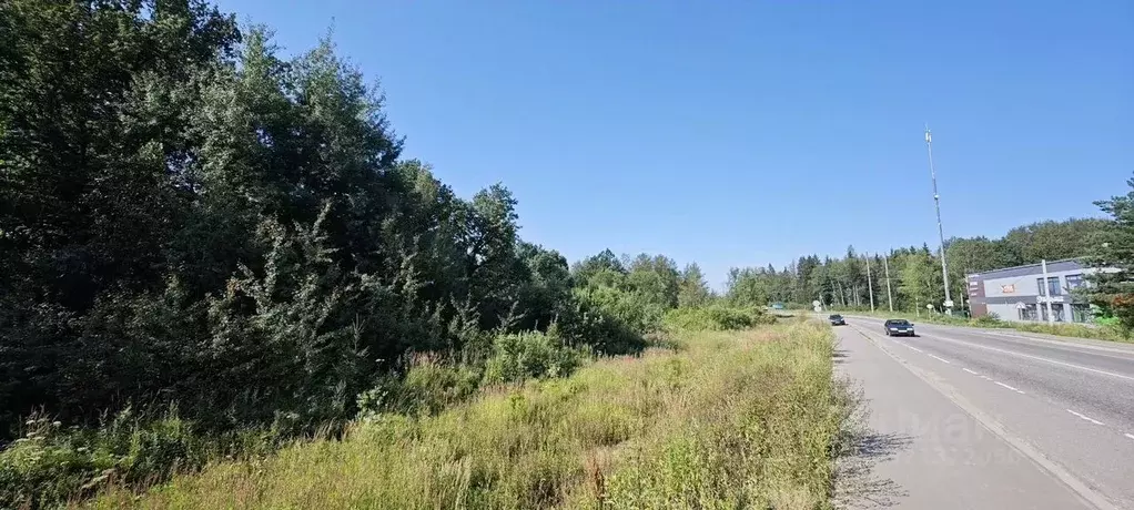 Участок в Московская область, Истра муниципальный округ, д. Веретенки  ... - Фото 1