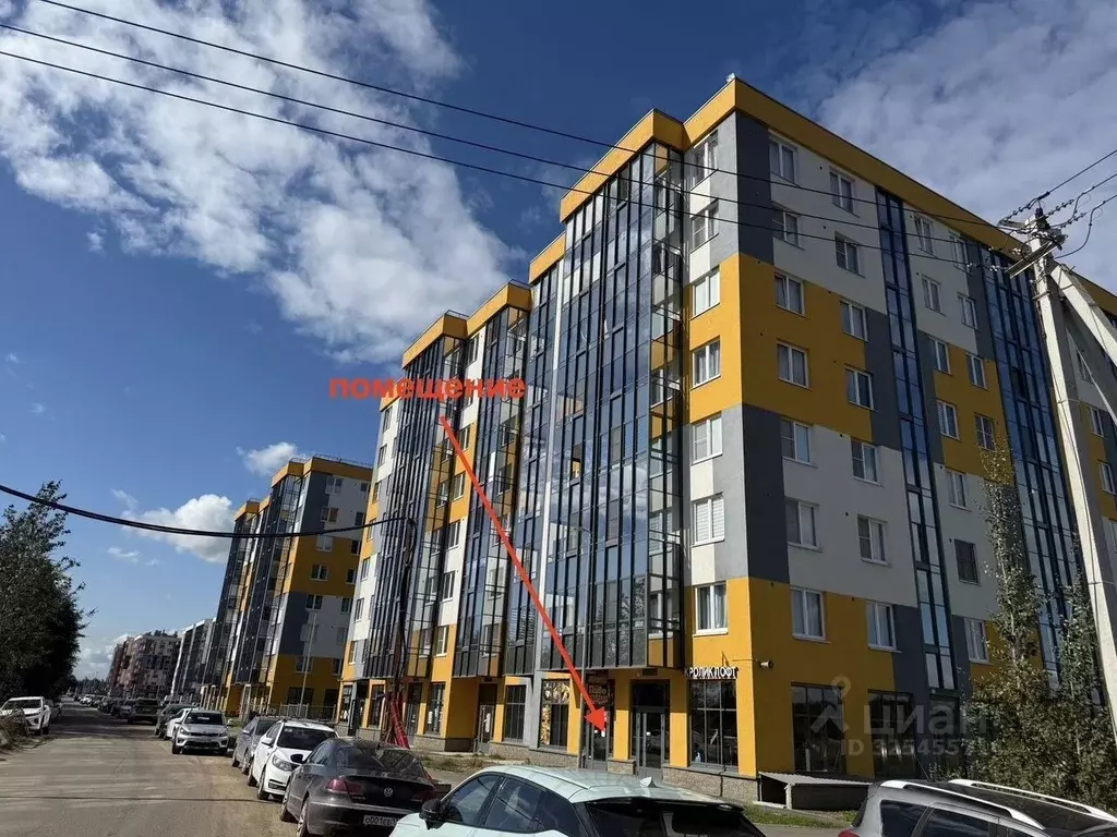 Помещение свободного назначения в Ленинградская область, Всеволожский ... - Фото 1