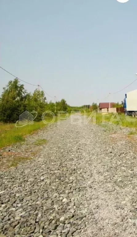 Участок в Тюменская область, Ялуторовский район, с. Сингуль Татарский  ... - Фото 1