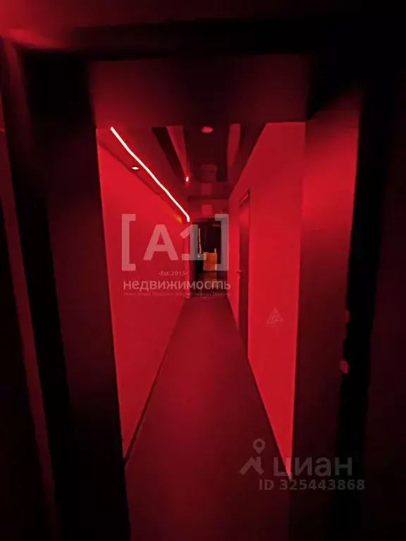 Торговая площадь в Челябинская область, Челябинск ул. Героев ... - Фото 2