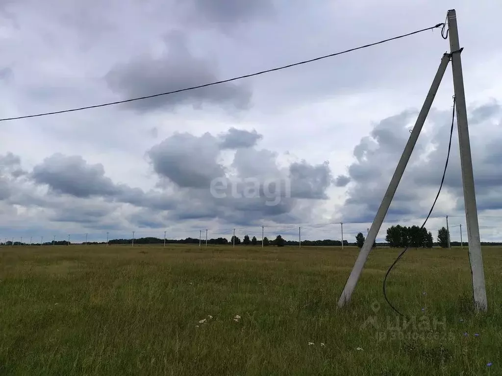 Участок в Алтайский край, Барнаул пл. Имени Акинфия Демидова (10.8 ... - Фото 0