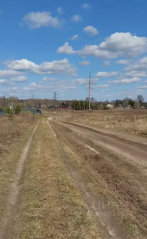 Участок в Нижегородская область, Богородский муниципальный округ, д. ... - Фото 1