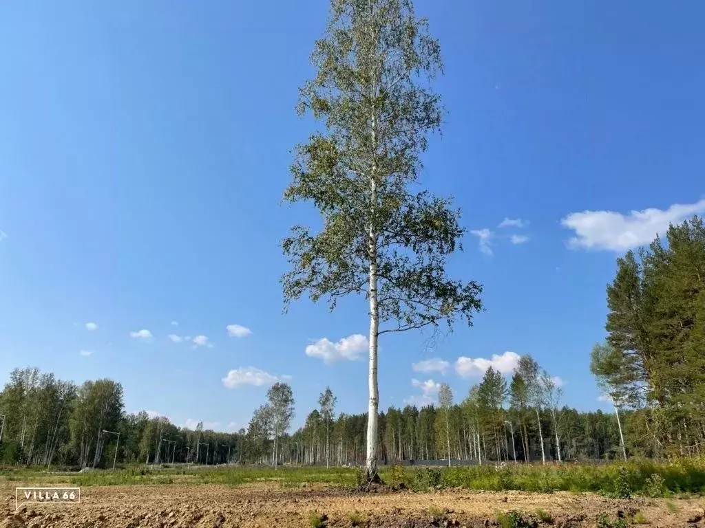 Участок в Свердловская область, Сысертский городской округ, пос. ... - Фото 0