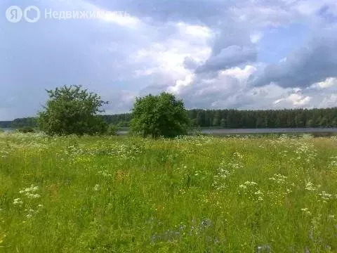 Участок в Тверская область, Кимрский муниципальный округ, деревня ... - Фото 2