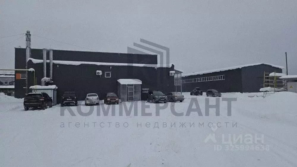 Производственное помещение в Нижегородская область, Дзержинск ул. ... - Фото 1